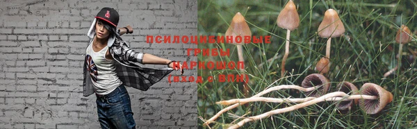 трава Балахна