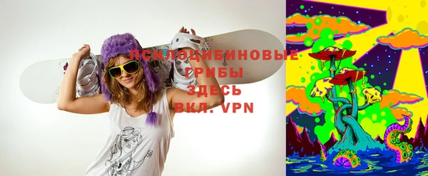 шишки Балабаново